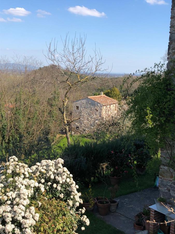 Dolce Vita In Tuscany Cottage Capannori Eksteriør bilde