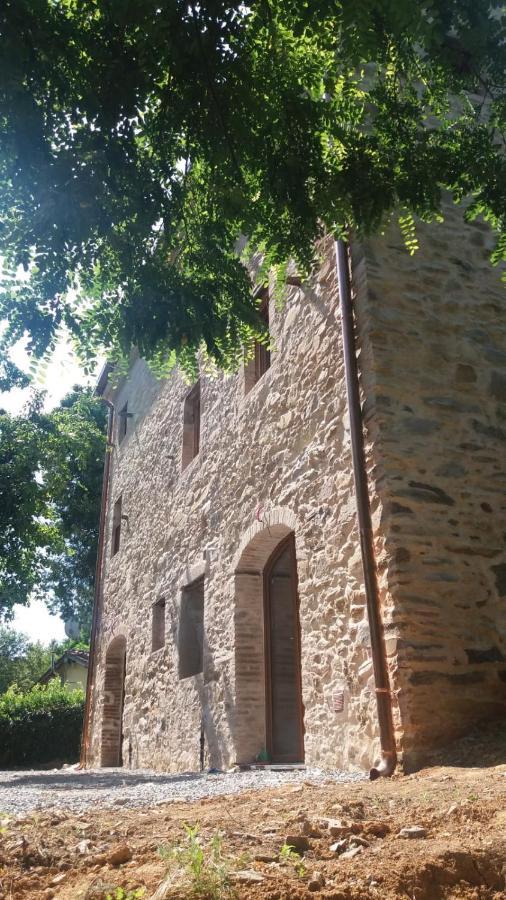Dolce Vita In Tuscany Cottage Capannori Eksteriør bilde
