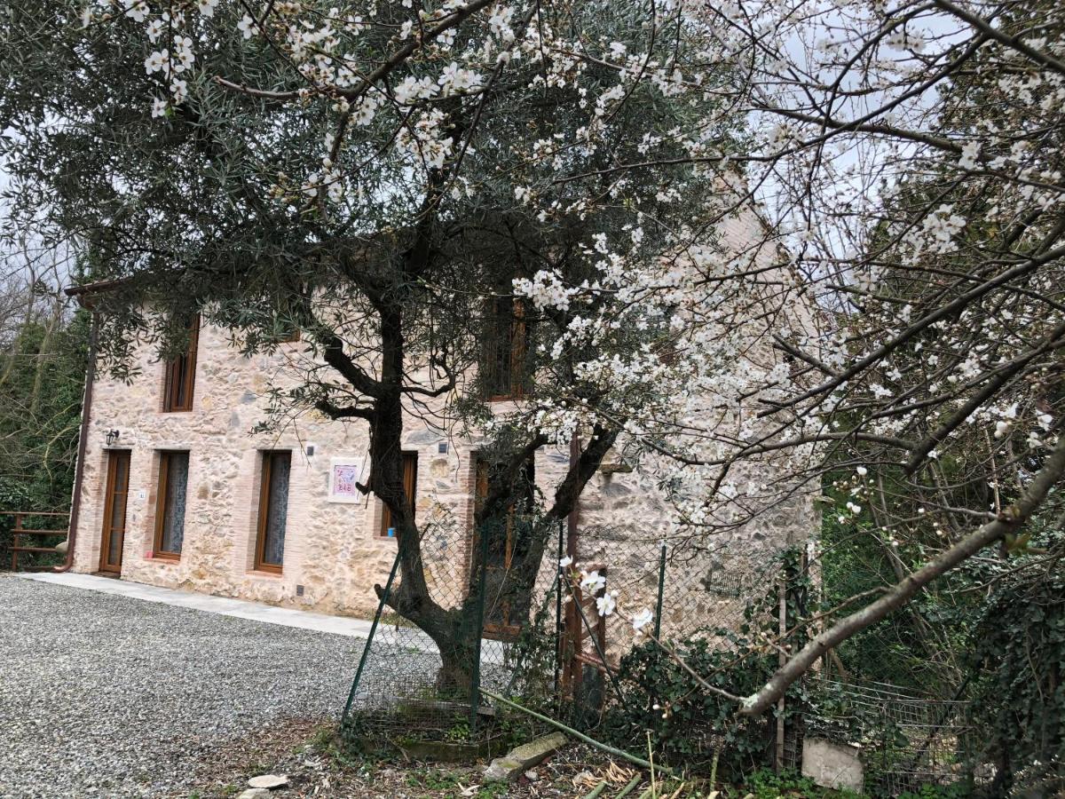 Dolce Vita In Tuscany Cottage Capannori Eksteriør bilde