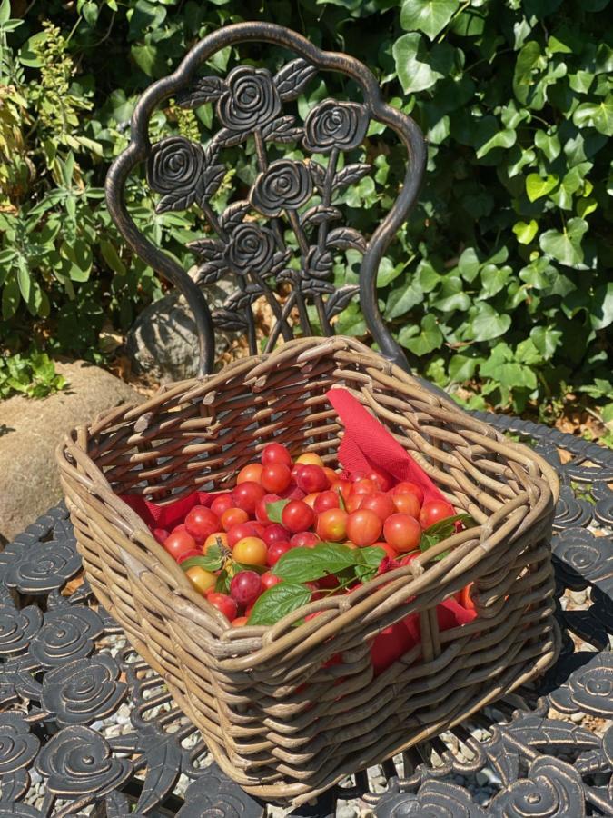 Dolce Vita In Tuscany Cottage Capannori Eksteriør bilde