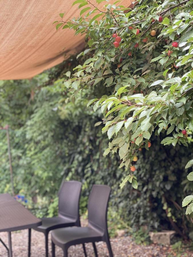 Dolce Vita In Tuscany Cottage Capannori Eksteriør bilde