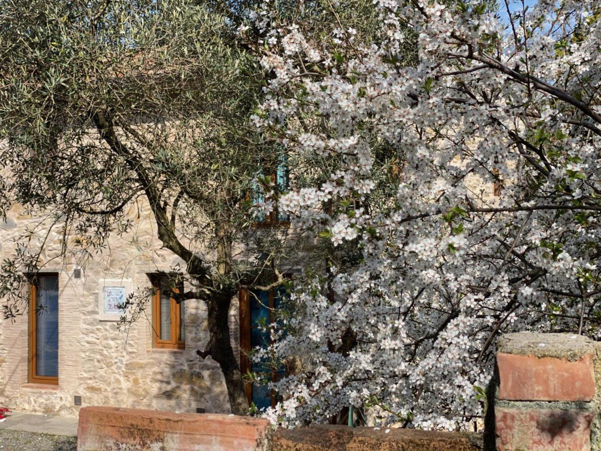 Dolce Vita In Tuscany Cottage Capannori Eksteriør bilde
