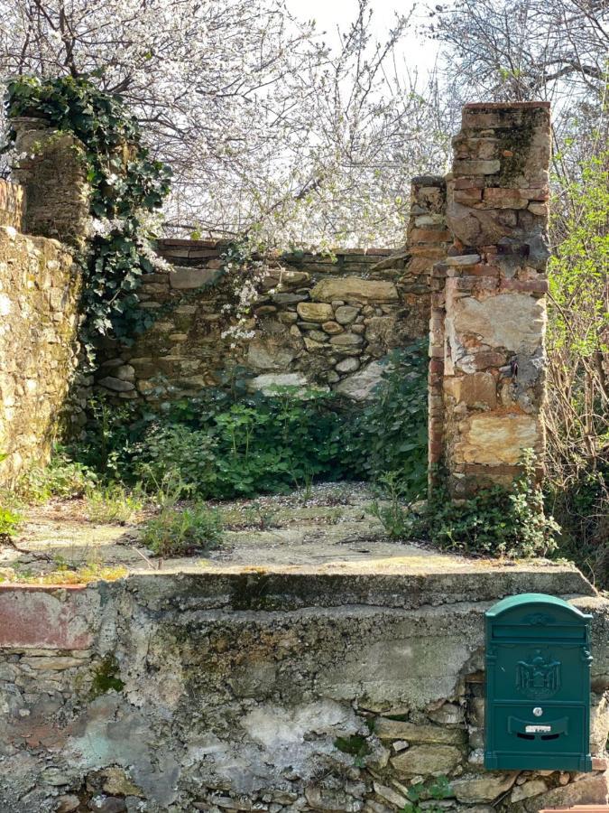 Dolce Vita In Tuscany Cottage Capannori Eksteriør bilde