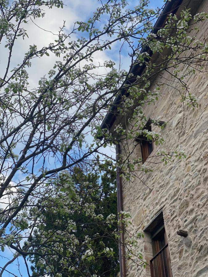 Dolce Vita In Tuscany Cottage Capannori Eksteriør bilde