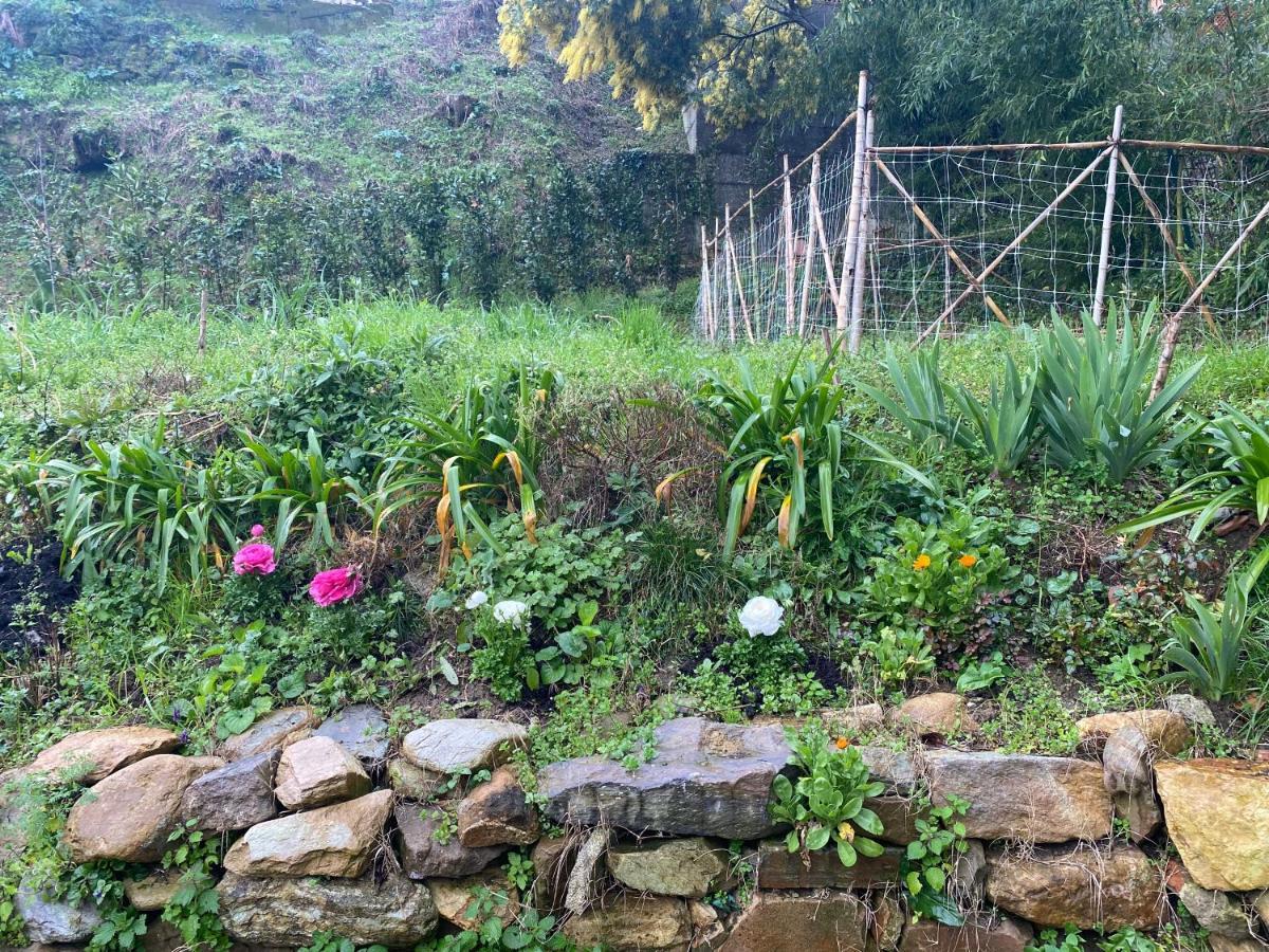 Dolce Vita In Tuscany Cottage Capannori Eksteriør bilde