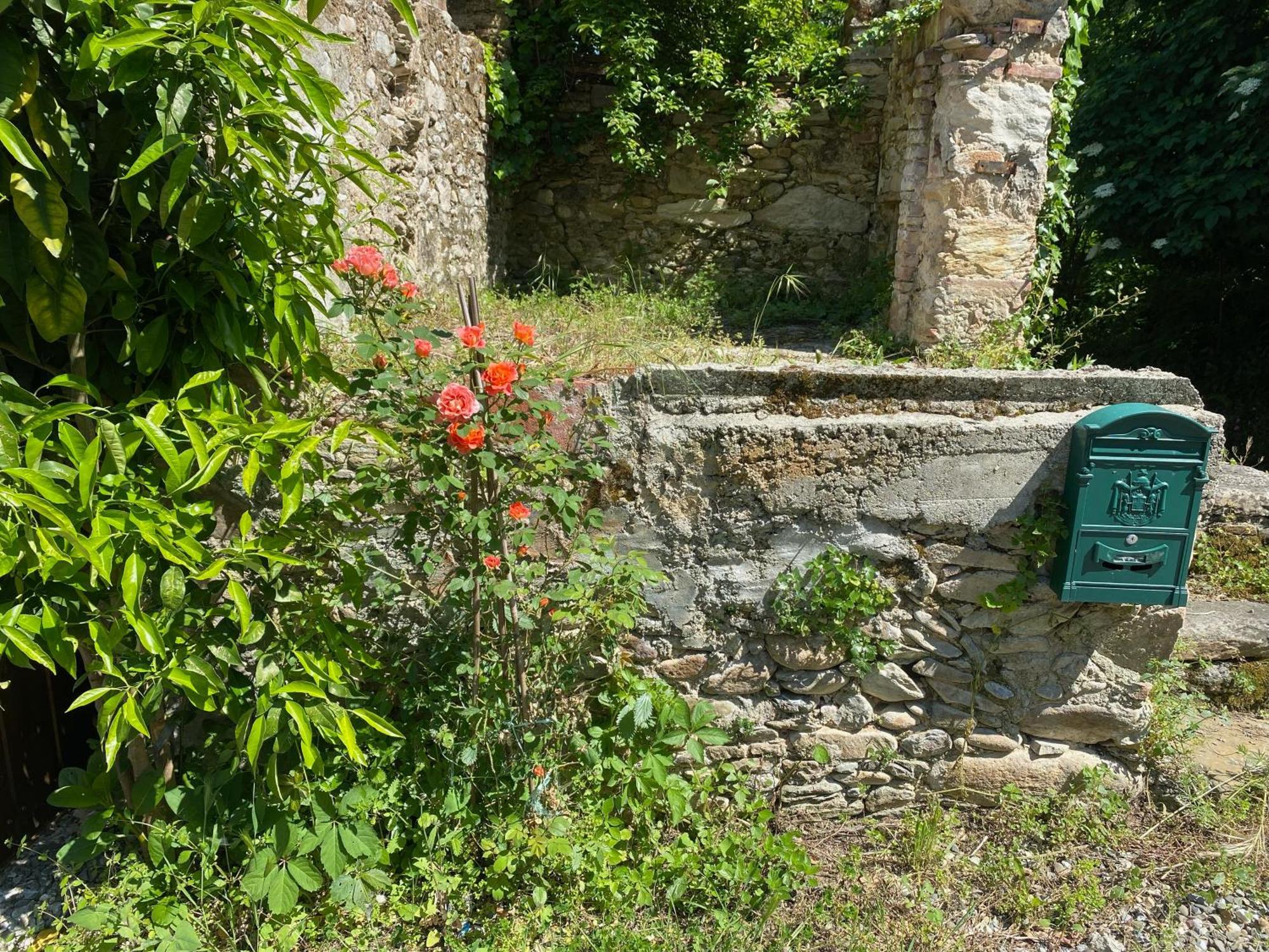 Dolce Vita In Tuscany Cottage Capannori Eksteriør bilde